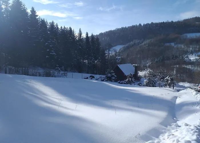 Domek Za Lasem