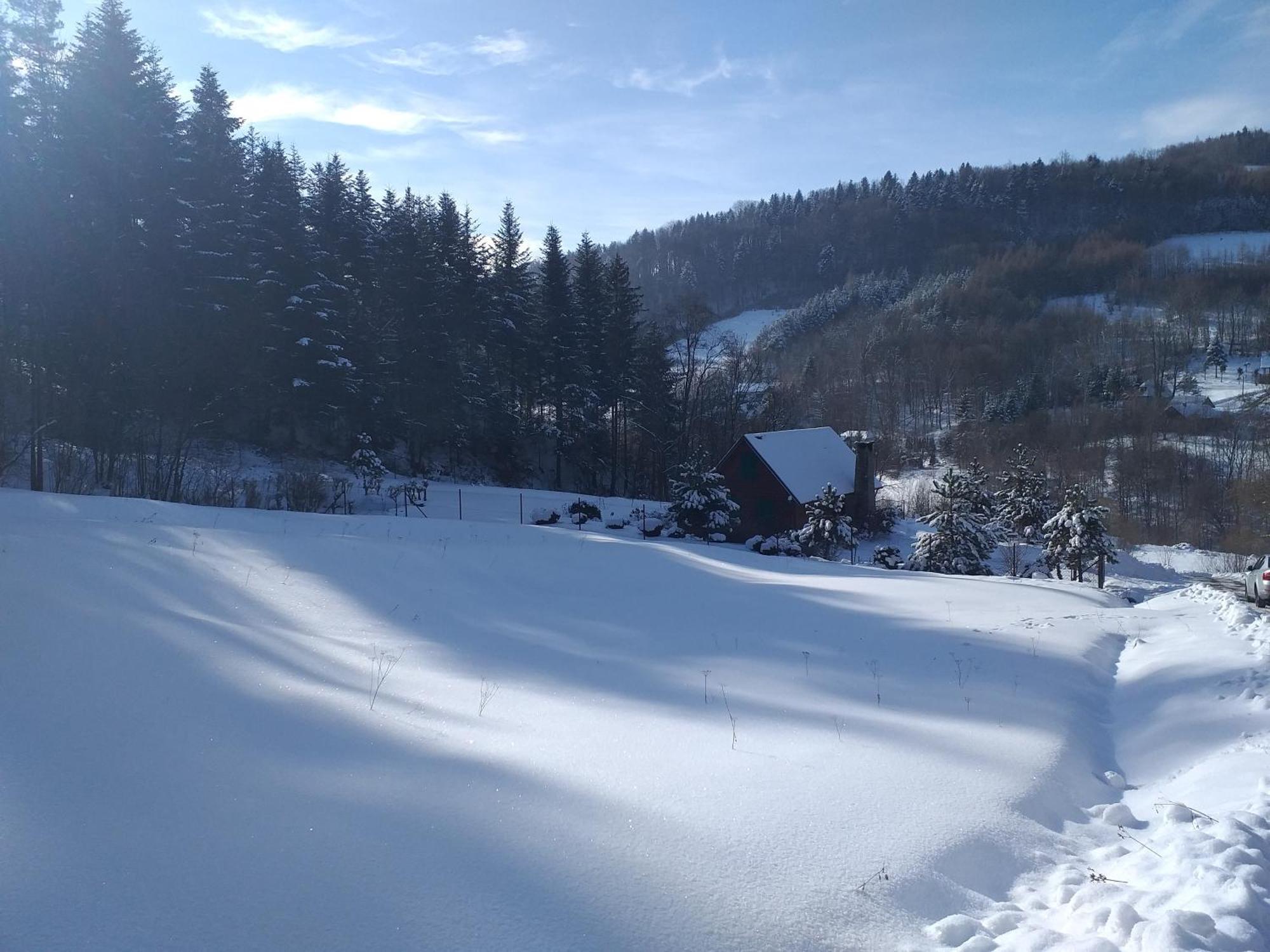 Chalet Za Lasem Laskowa (Limanowa)