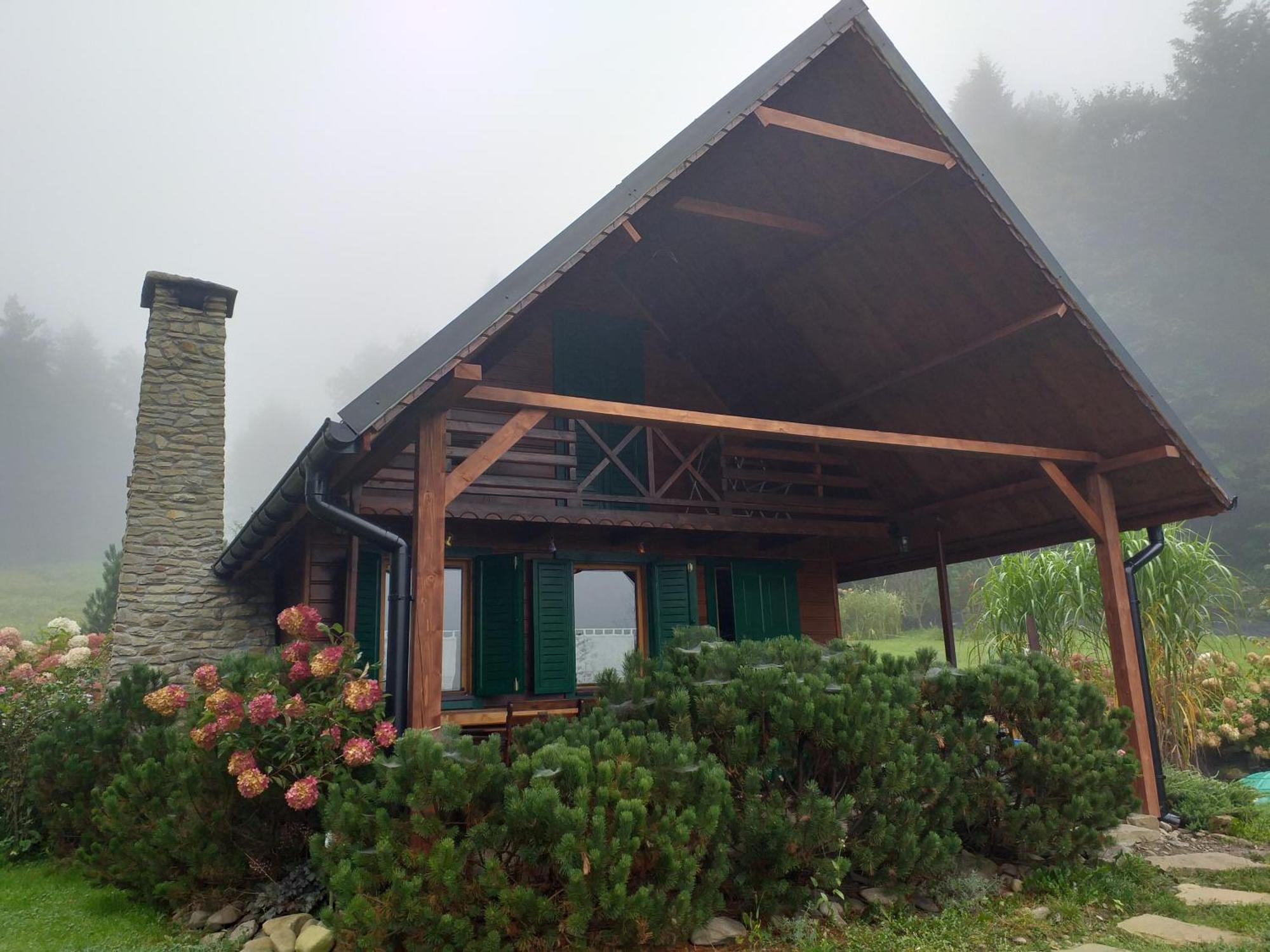 Za Lasem Chalet *